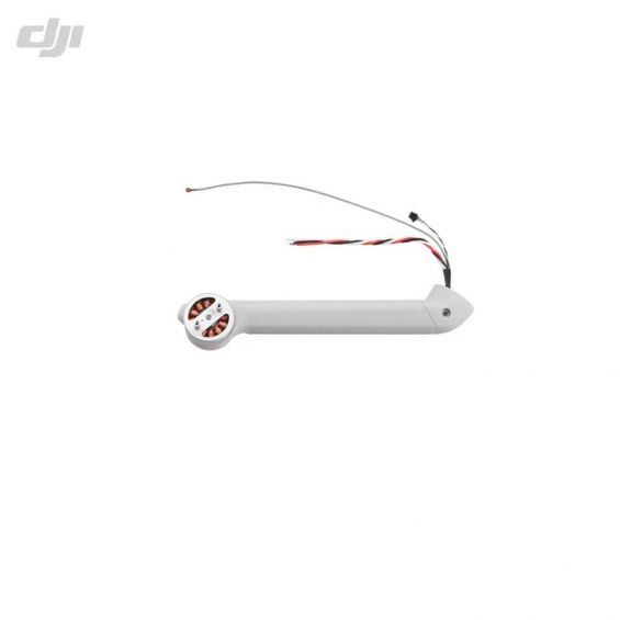 DJI Mini 3 Pro - Arm