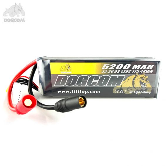 DOGCOM 5200mAh 120C 6S 22.2V LiPo - AS150