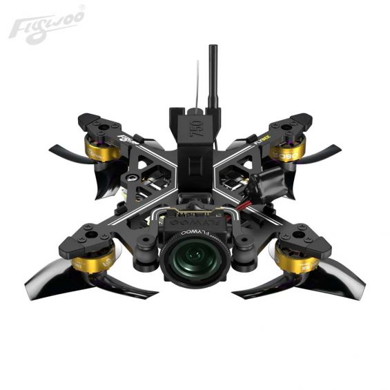 Flywoo Flybee 16 HD 2S BNF