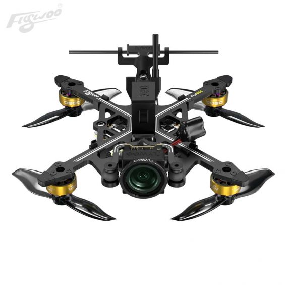 Flywoo Flybee 20 HD 2S BNF