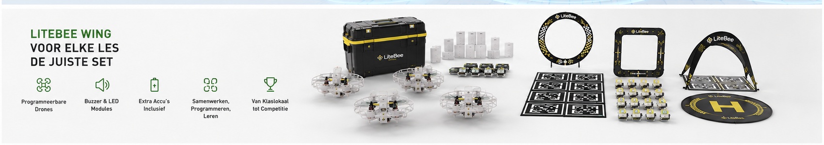 LiteBee Wing Drones